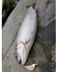 Воблер  50мм 6гр.  Maks Master
