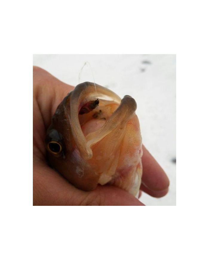 Мухомормыш ручная работа Яны