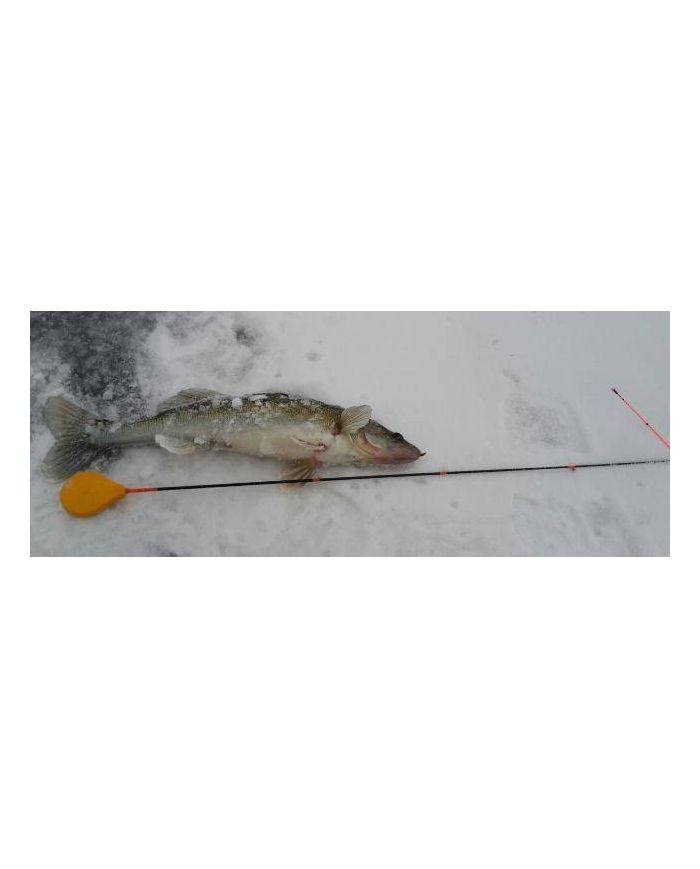 Мухомормыш ручная работа Яны