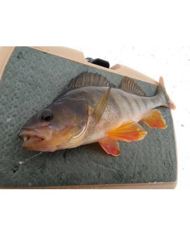 Мухомормыш ручная работа Яны